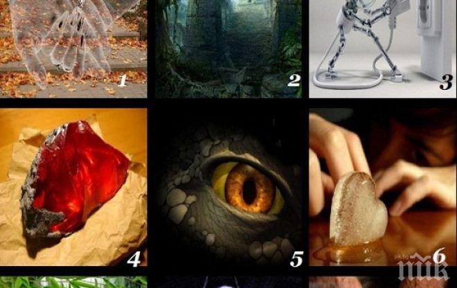 Определете точно характера и ценностите си - направете си този лесен личностен тест