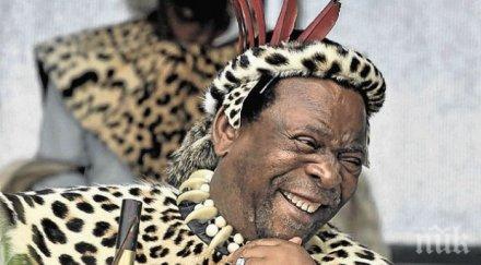 кралят зулусите юар даде крави шестата жена