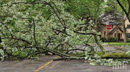 дъжд гръмотевици съпътстват избора наследник сергей станишев