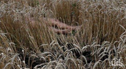 телата част загиналите боинга все гният мястото катастрофата