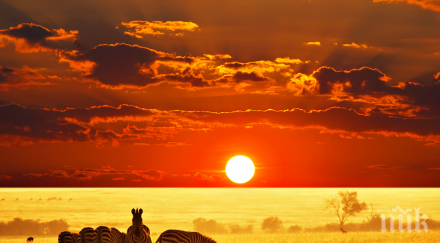 африкански мъдрости променят живота