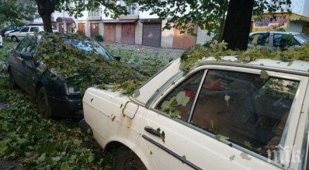 плащат градушката февруари 2015 година