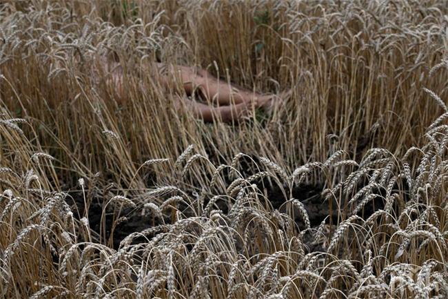 Телата на част от загиналите от боинга все още гният на мястото на катастрофата