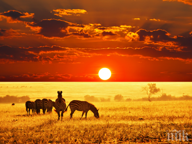 22 африкански мъдрости, които ще променят живота ви