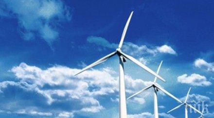 махат таксата зеления ток