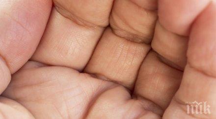 нова мода разработиха мебели имитиращи човешка кожа