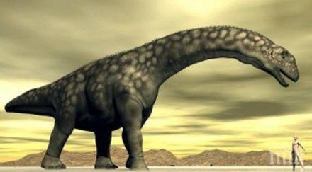 потомците динозаврите крият гените лечебна тайна