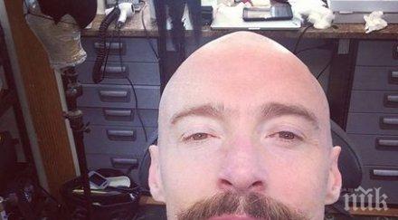 джакман пие сутринта