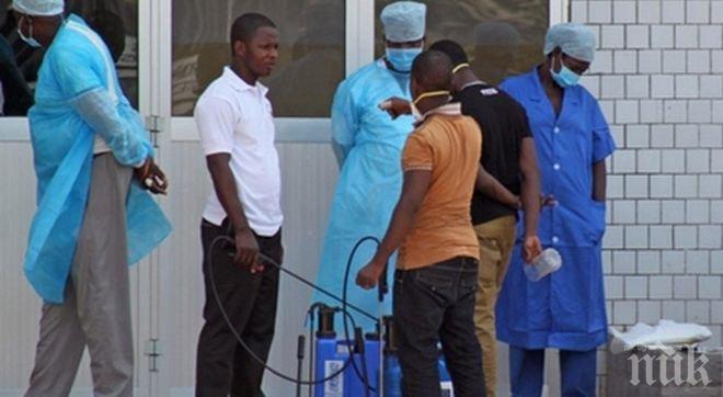 24 загинаха на концерт в Гвинея заради паника