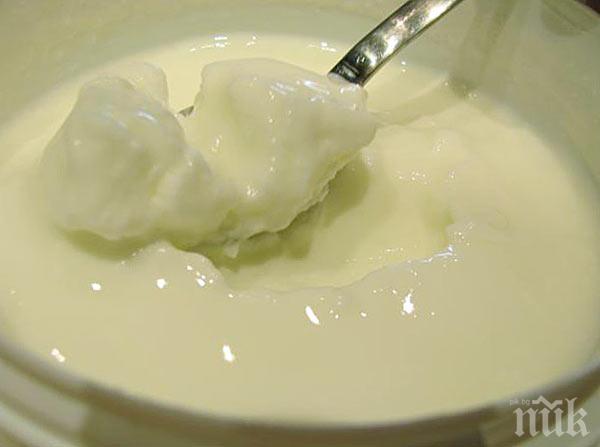 Киселото мляко - любима храна на българина