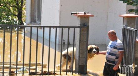 извънредно втора приливна вълна тръгна мизия изтикаха медиите извън града