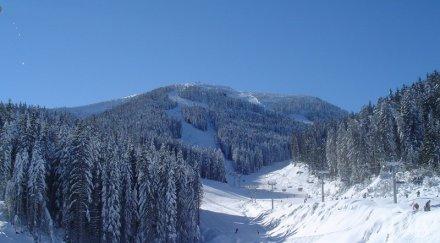 форум българия зеленият терор спре партия зелените обслужва политическите цели популистки акции банско пампорово