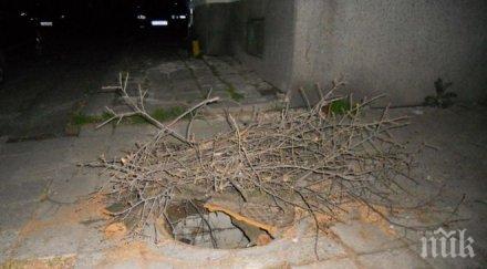 1127 струва чистенето улична шахта шумен