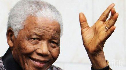 властите спасяват гладуващите крави нелсън мандела