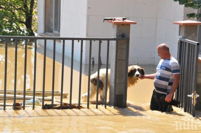Извънредно! Втора приливна вълна тръгна към Мизия, изтикаха медиите извън града!
