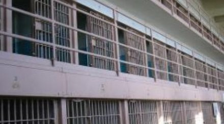 мъж плевен арестуван трафик жени