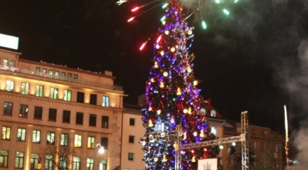 софия грейва коледната елха