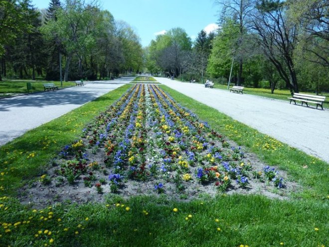 Западният парк се превръща в арт арена 