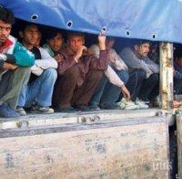 Сирийци се заселиха в Нареченски бани