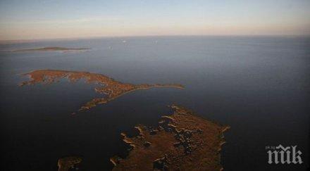 мексиканския залив 000 мъртва зона