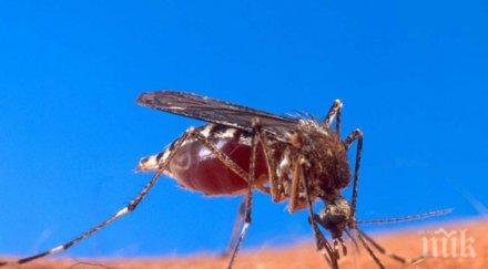 000 болни тропическа треска малайзия