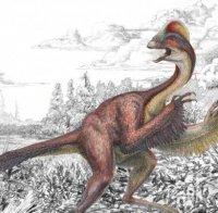 Откриха динозавър в Южна Америка
