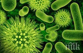 коварна бактерия уби петима македонци