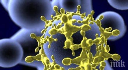 вирусът ембола момента взел жертви