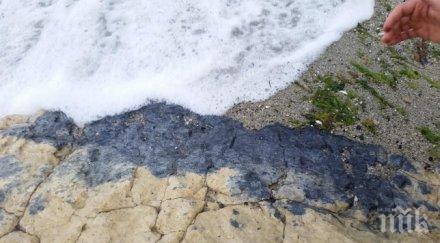 купища мазут заляха плажове варна снимки