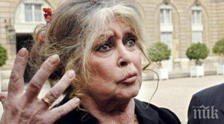 бриджит бардо съди зоопарка ловеч заради убийството алонсо