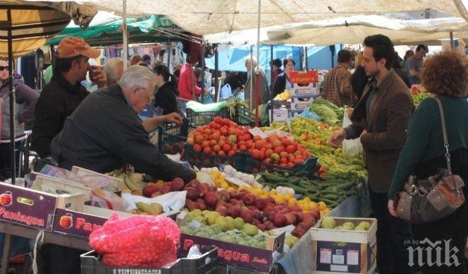Земеделците в Гърция са в паника от руското ембарго, цените на прасковите се сринаха