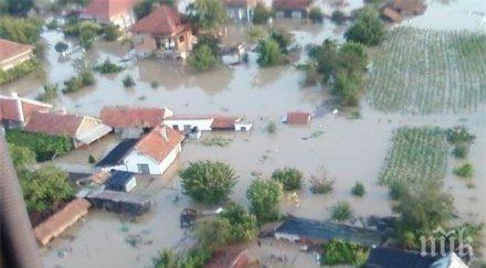 трупове животни пълнят улиците мизия седмица потопа