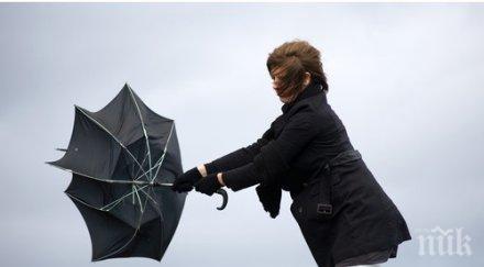 души пострадаха белгия ураганен вятър разруши конструкцията шатра цирк