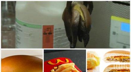 вижте случва чийзбургера макдоналдс стомаха повече никога вкусите видео