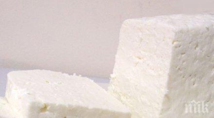 тонове сирене остават склад заради руското ембарго