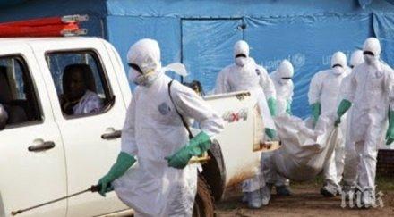 сзо еболата заплаха целия свят