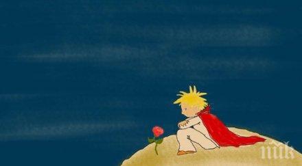 малкият принц помага деца разведени родители аржентина