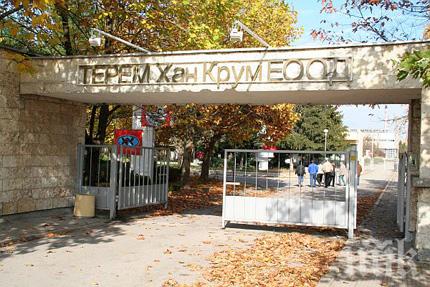 Най-тежко раненият при взрива в Костенец излезе от кома