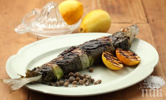 Печената риба е полезна за мозъка