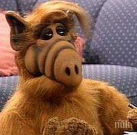 Култови цитати на Алф - ще се посмеете и ще се замислите