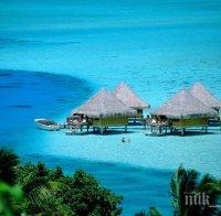 Жена открита разчленена в куфар на остров Бали