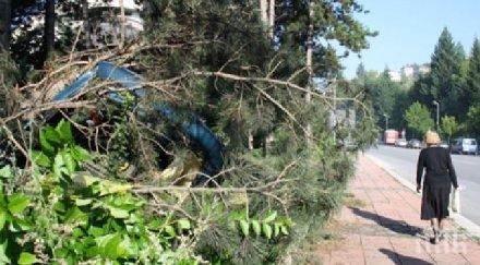 пиян разцепи колата два бора смолян оцеля чудо