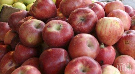 чешки министър призова ползват местни хранителни продукти