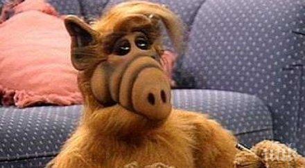 култови цитати алф посмеете замислите