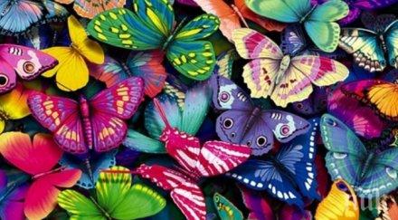 природонаучния музей бургас излюпват пеперуди