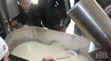 мандрите спряха изкупуват овче мляко