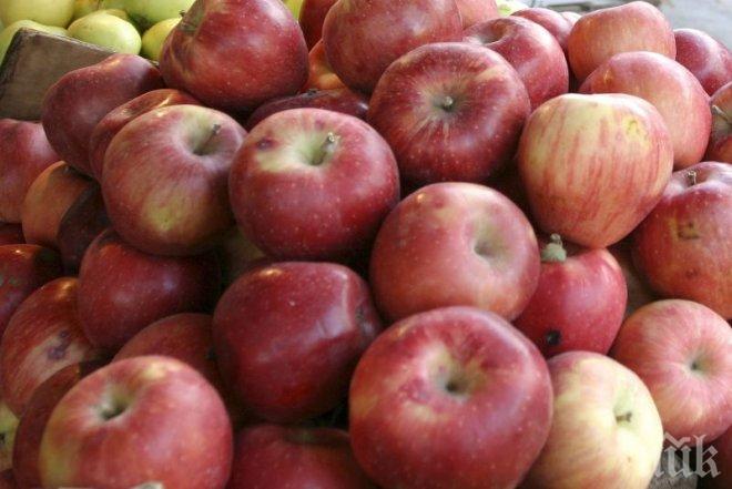 Чешки министър призова да се ползват местни хранителни продукти