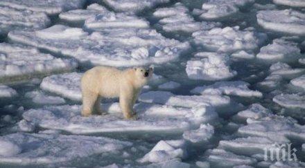 хората сме допринесли топенето ледовете