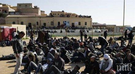 британската полиция открила имигранти товарен контейнер