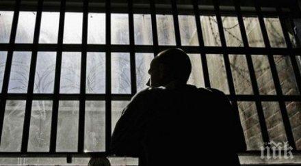 стартира делото холандеца гаврил български момченца